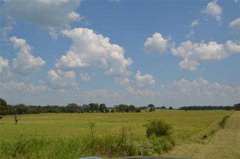 Tbd Fm 607 S Larue TX 75770