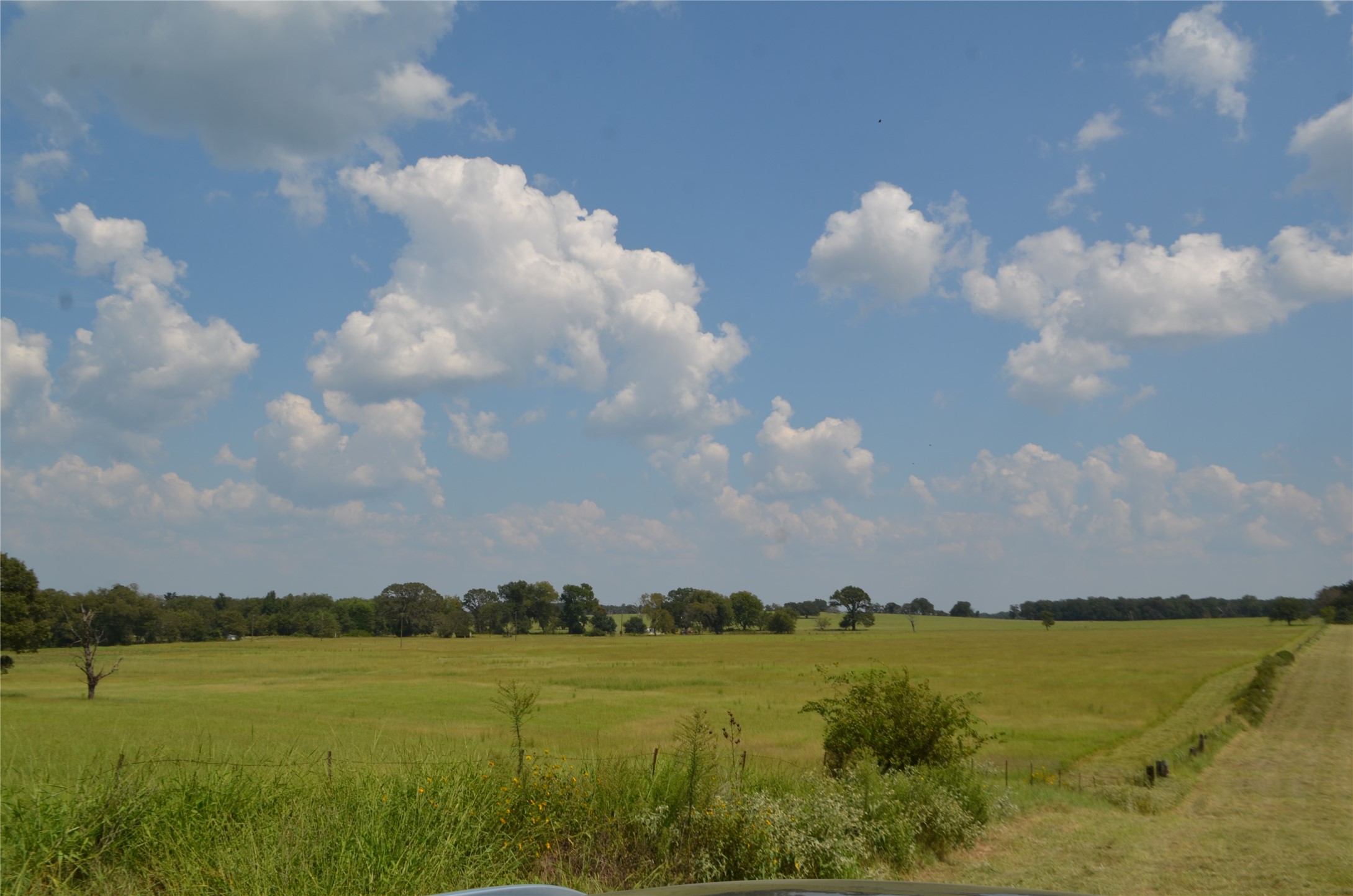 Tbd Fm 607 S Larue TX 75770