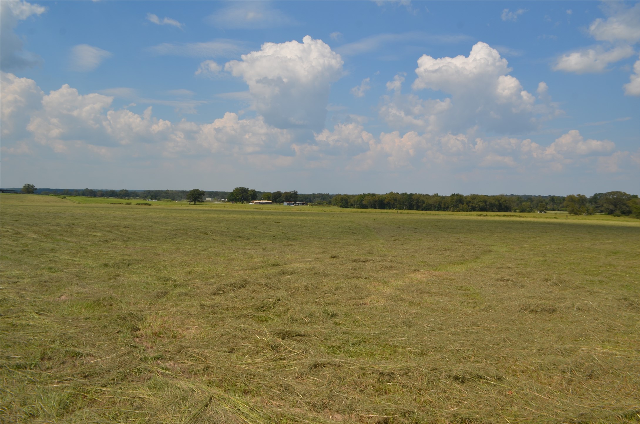 Tbd Fm 607 S Larue TX 75770