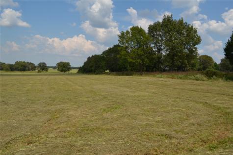 Tbd Fm 607 S Larue TX 75770