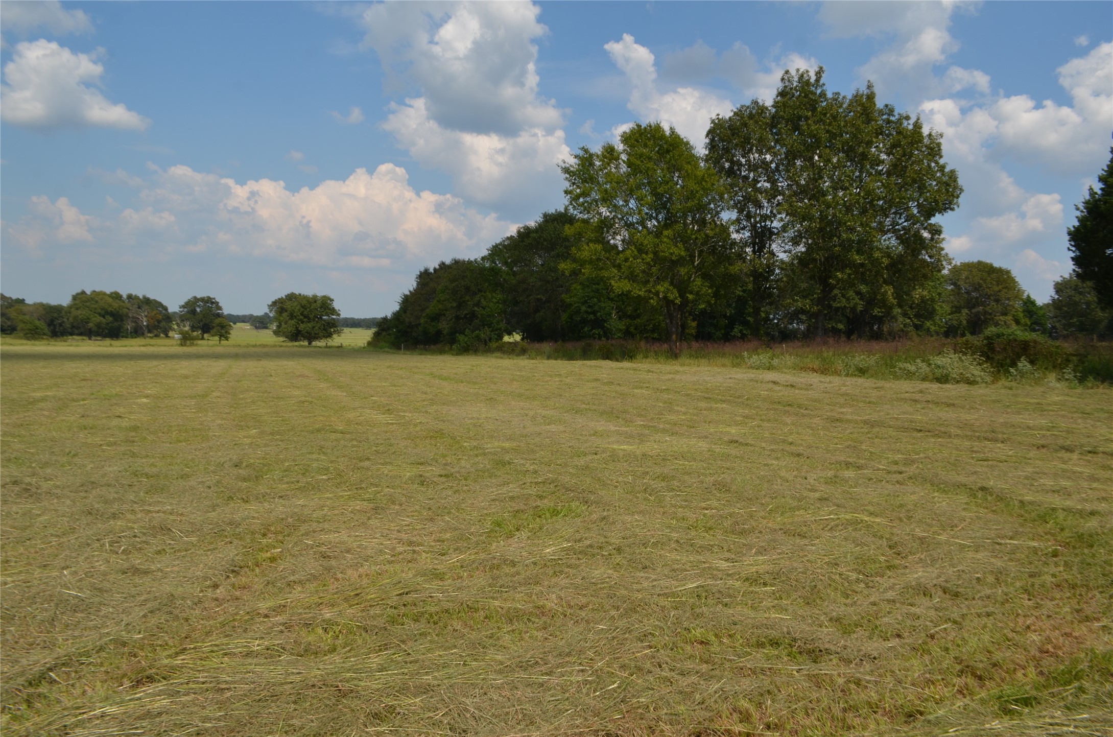 Tbd Fm 607 S Larue TX 75770