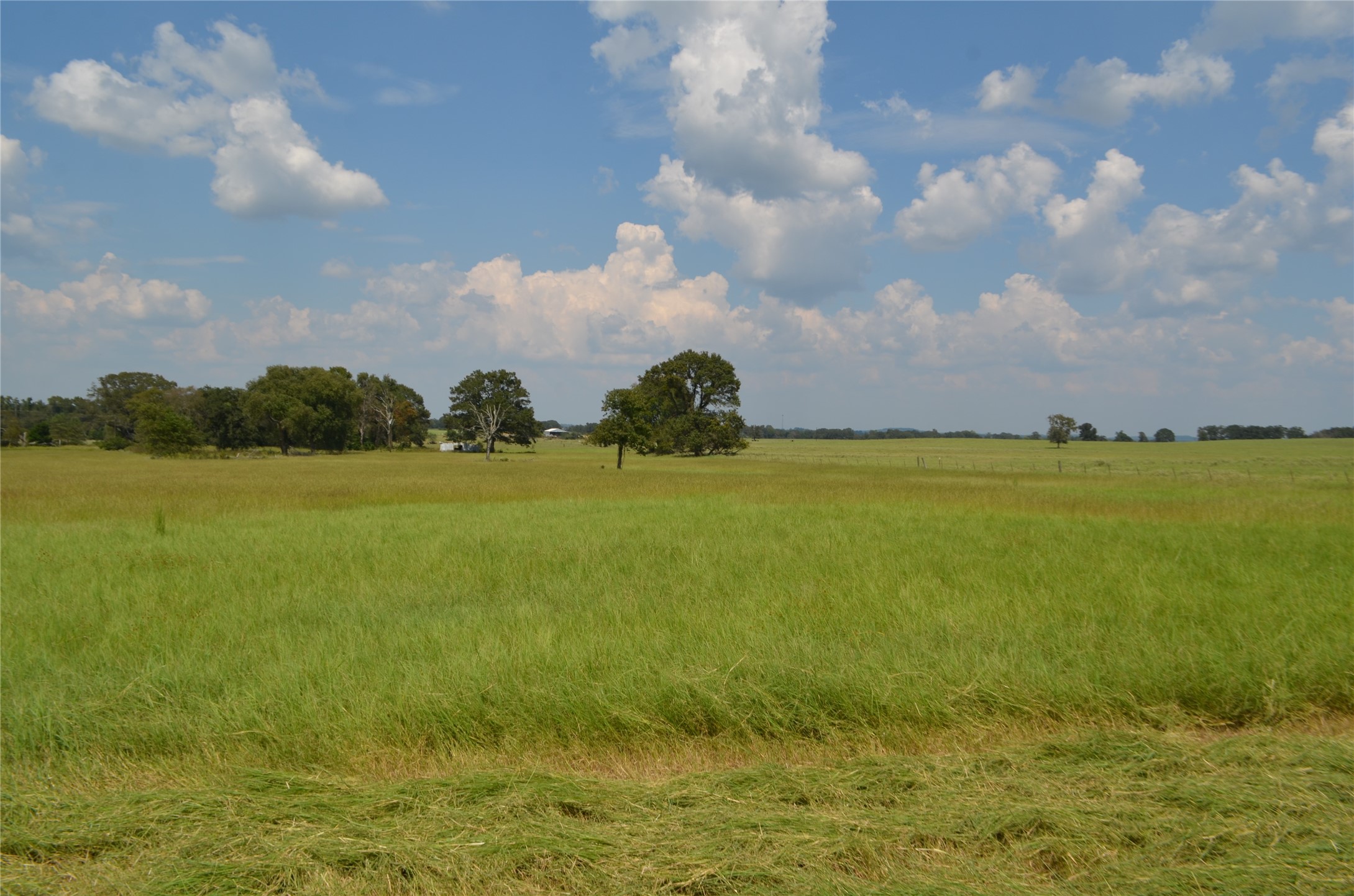 Tbd Fm 607 S Larue TX 75770