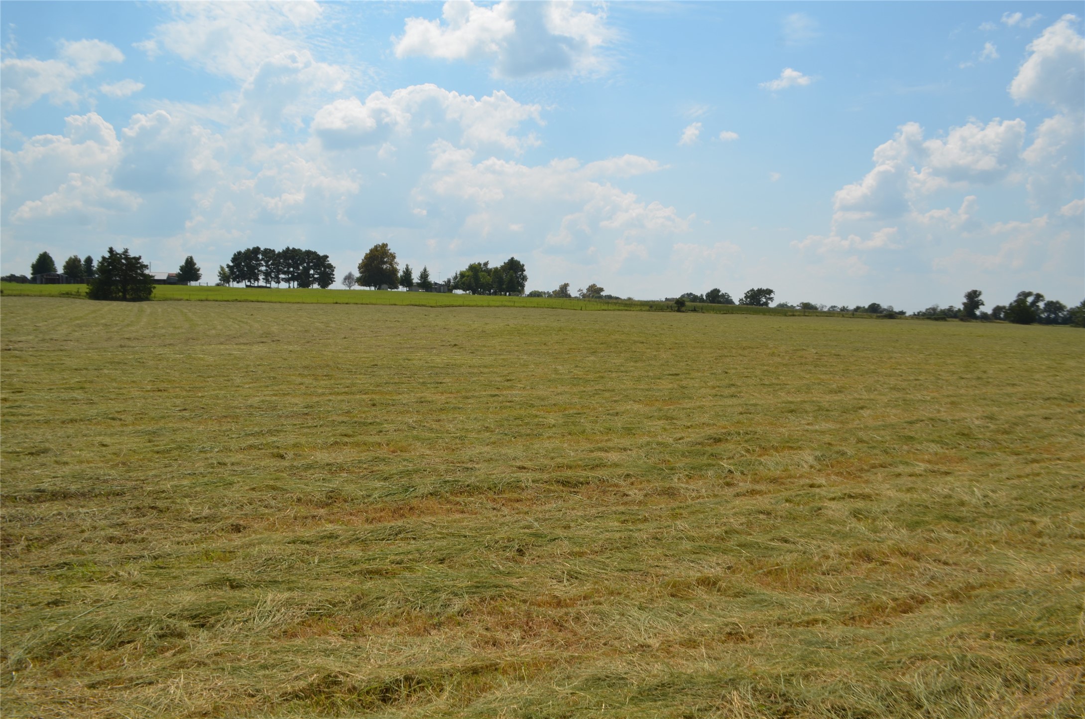 Tbd Fm 607 S Larue TX 75770