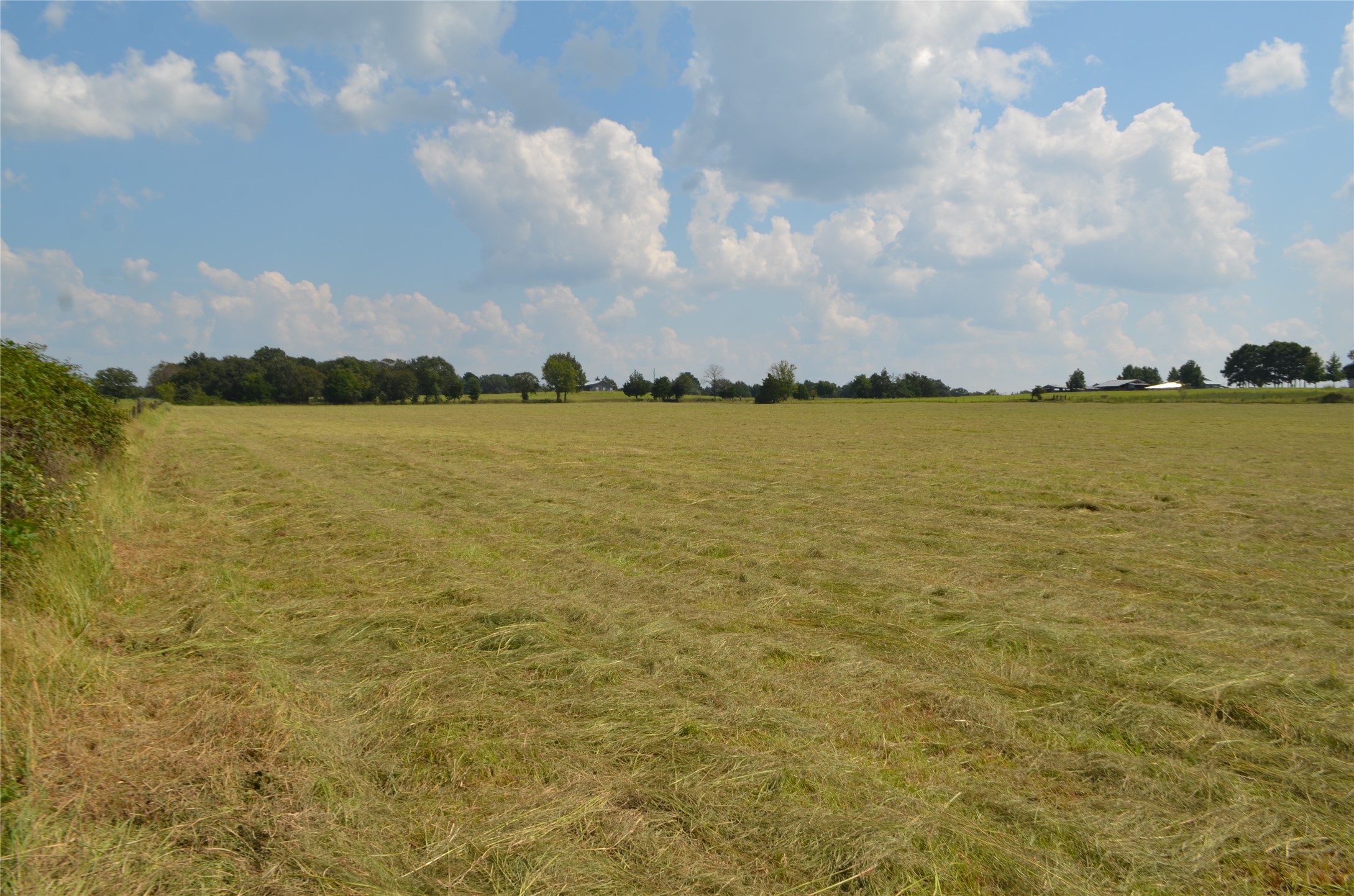 Tbd Fm 607 S Larue TX 75770