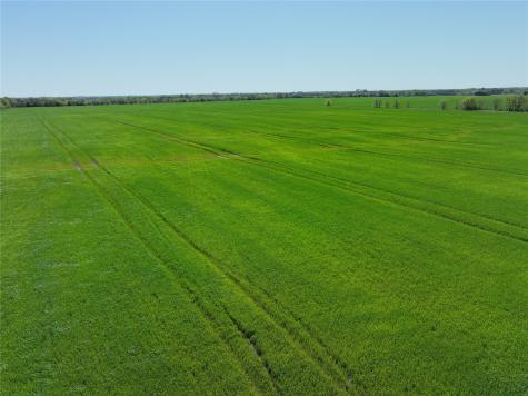 0001 County Road 26850 Petty TX 75470