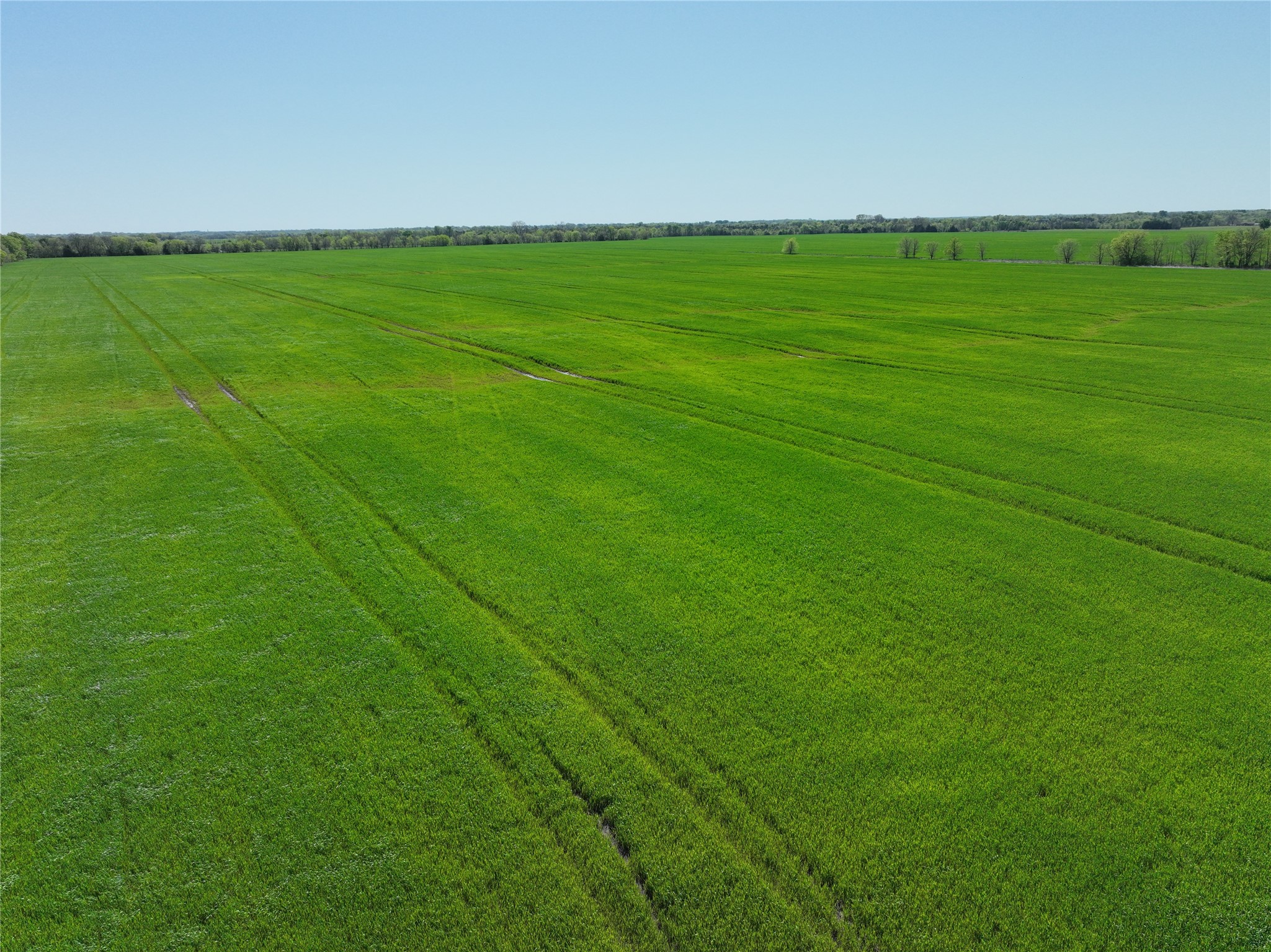 0001 County Road 26850 Petty TX 75470