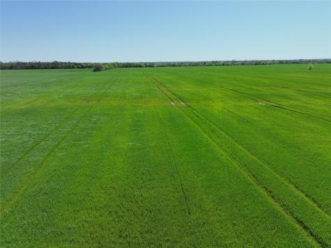 0001 County Road 26850 Petty TX 75470