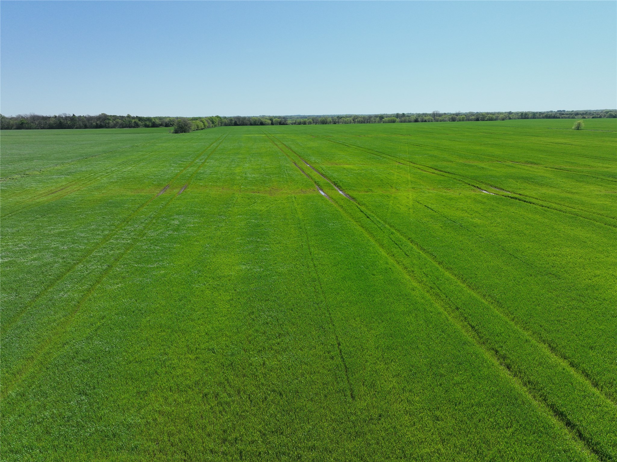 0001 County Road 26850 Petty TX 75470