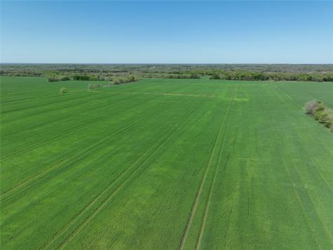 0001 County Road 26850 Petty TX 75470