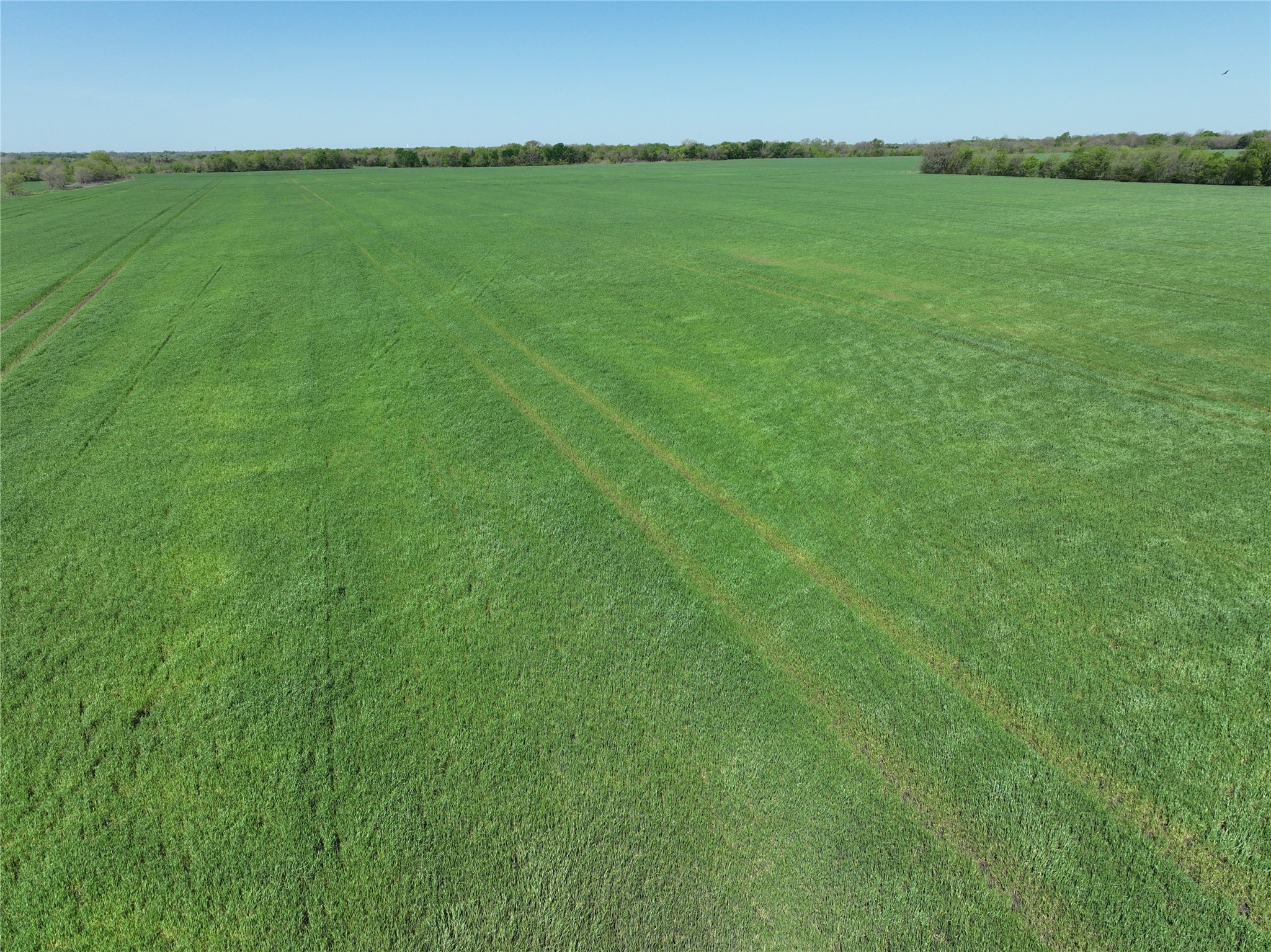 0001 County Road 26850 Petty TX 75470