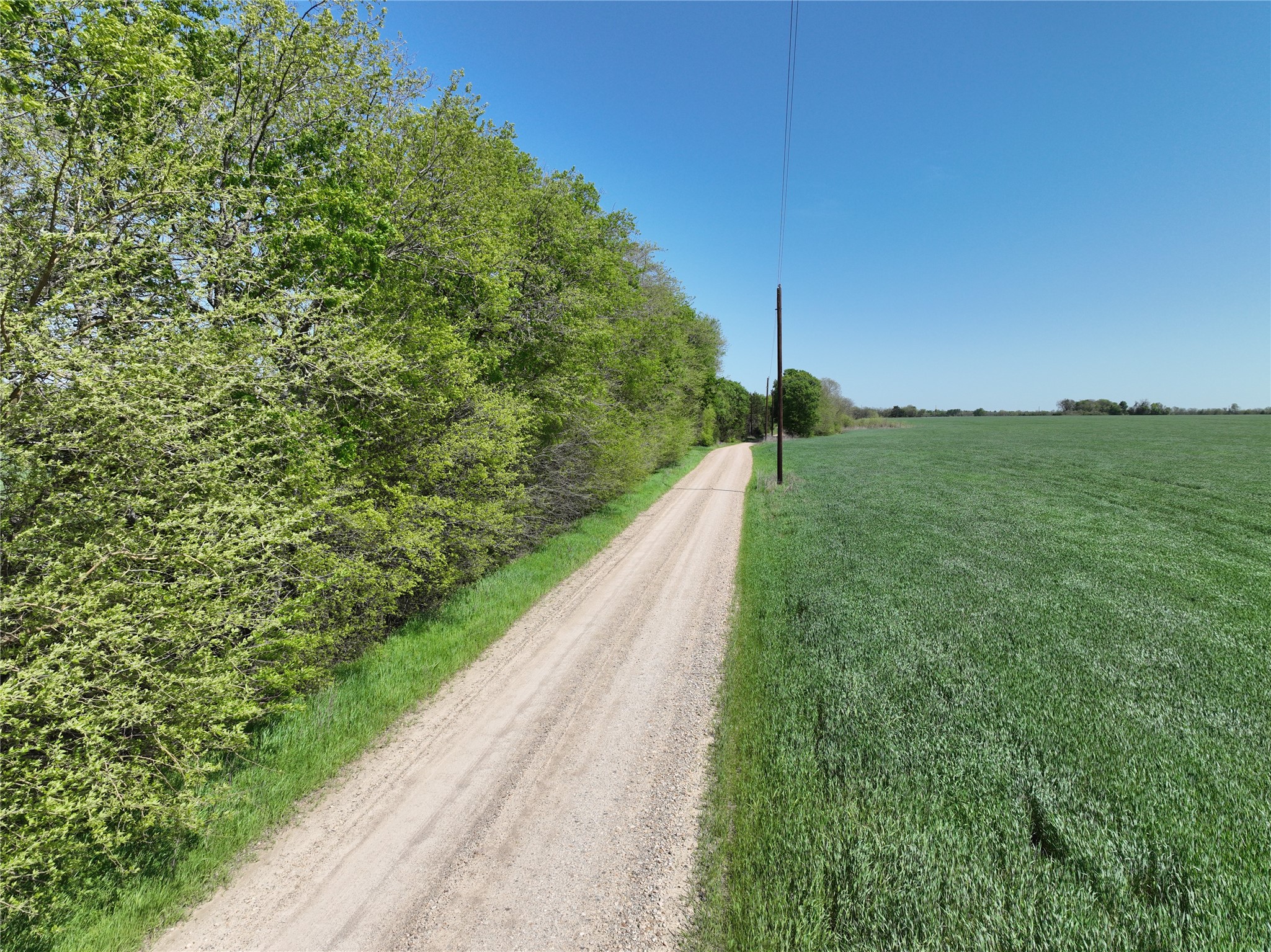 0001 County Road 26850 Petty TX 75470