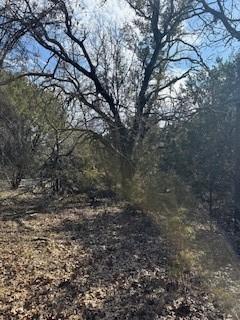 21039 Shady Oak Court Whitney TX 76692