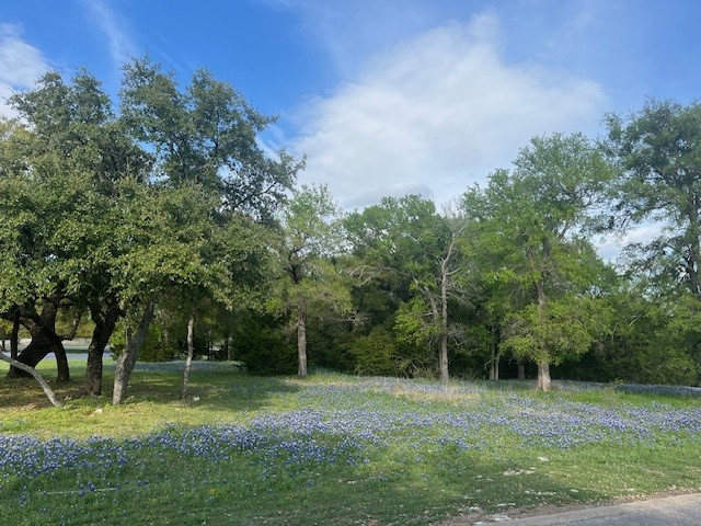21039 Shady Oak Court Whitney TX 76692