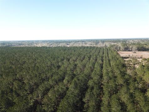 0 Corrigan Road Vidor TX 77662