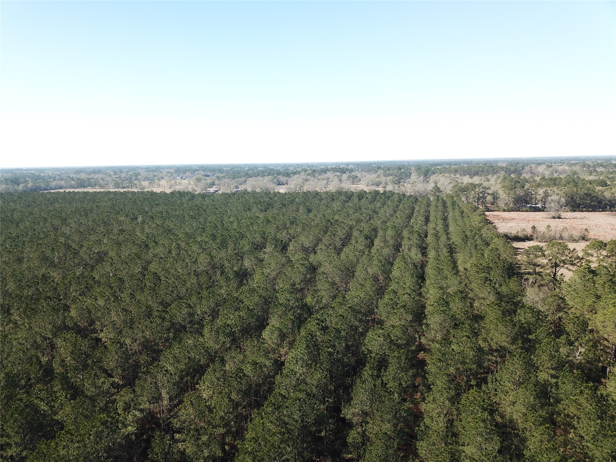 00 Corrigan Road Vidor TX 77662
