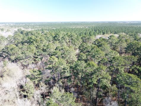 00 Corrigan Road Vidor TX 77662