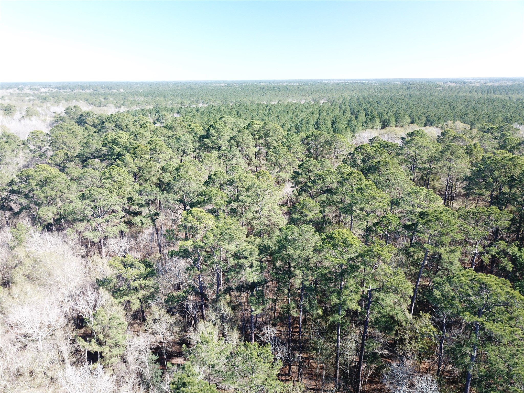 00 Corrigan Road Vidor TX 77662