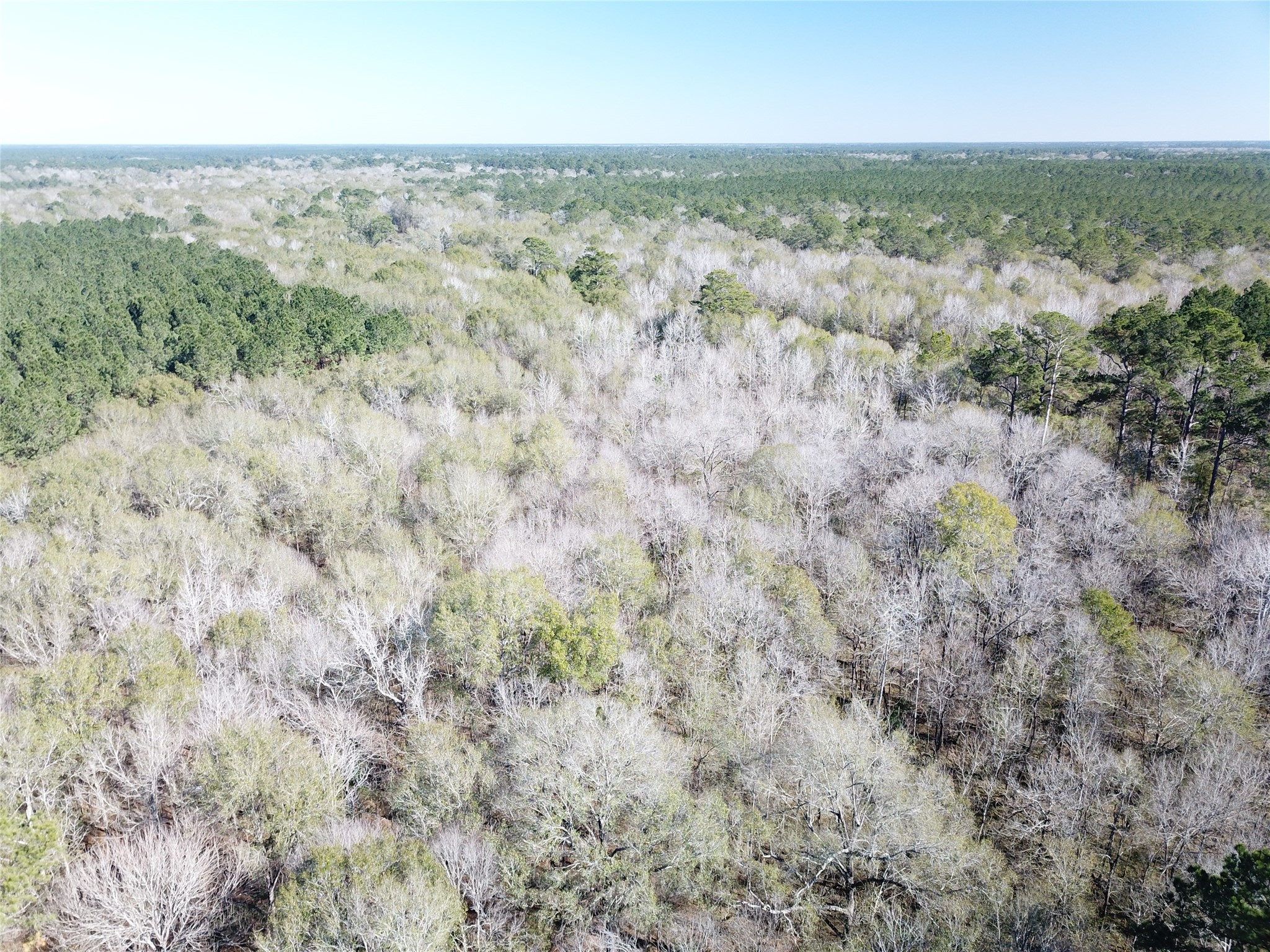 00 Corrigan Road Vidor TX 77662