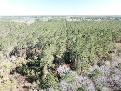 00 Corrigan Road Vidor TX 77662