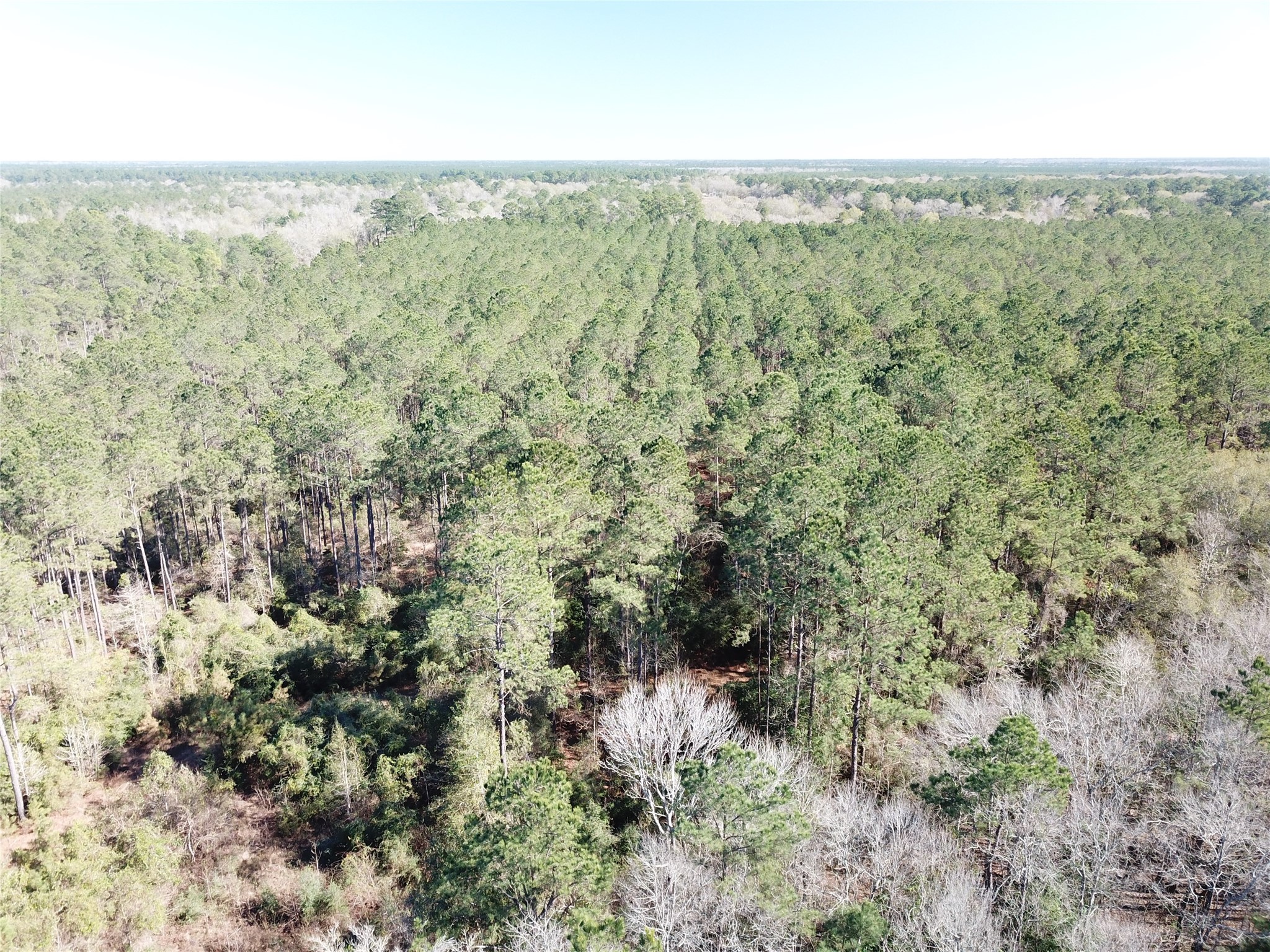 00 Corrigan Road Vidor TX 77662