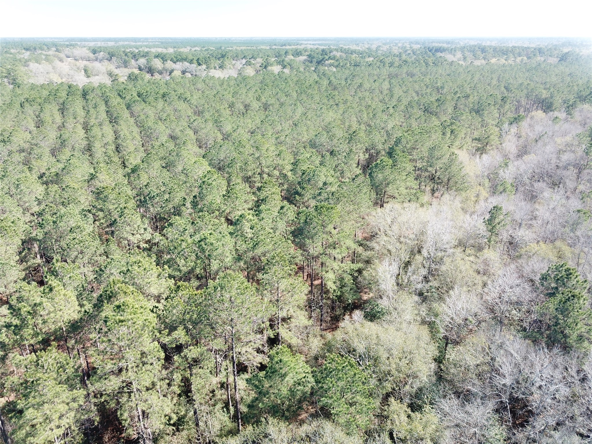 00 Corrigan Road Vidor TX 77662