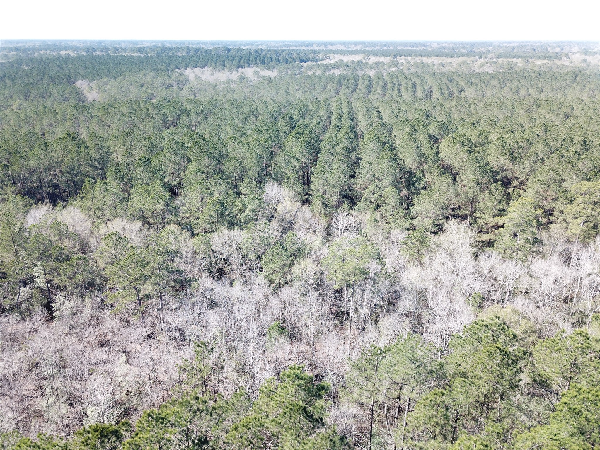 00 Corrigan Road Vidor TX 77662