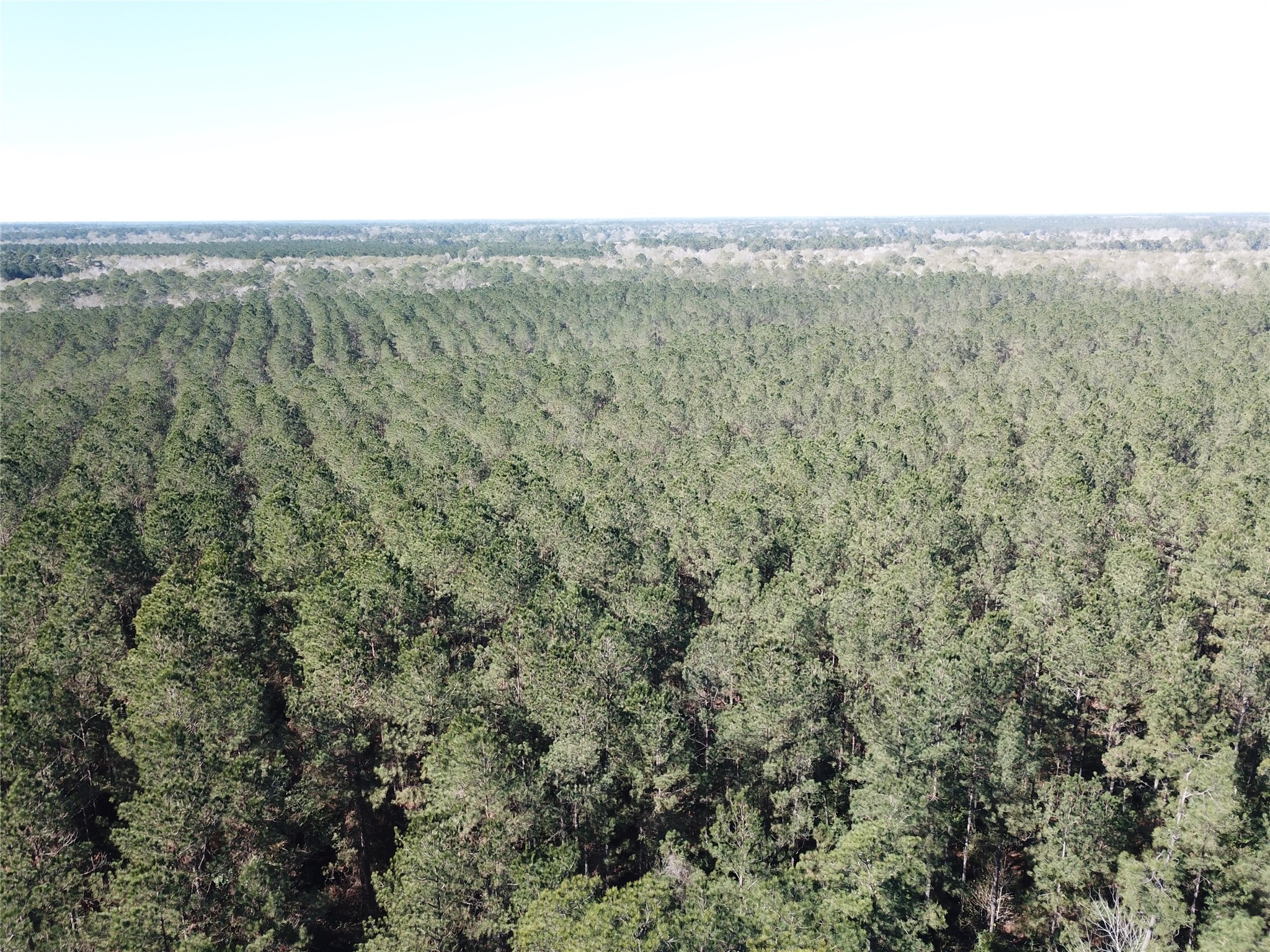 00 Corrigan Road Vidor TX 77662