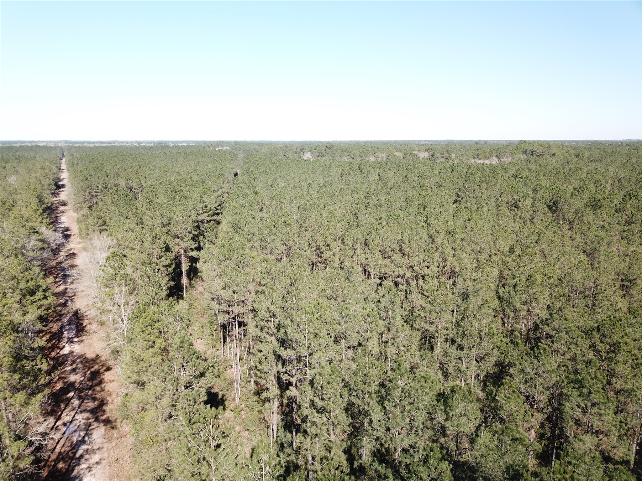 00 Corrigan Road Vidor TX 77662