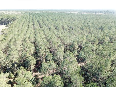 00 Corrigan Road Vidor TX 77662