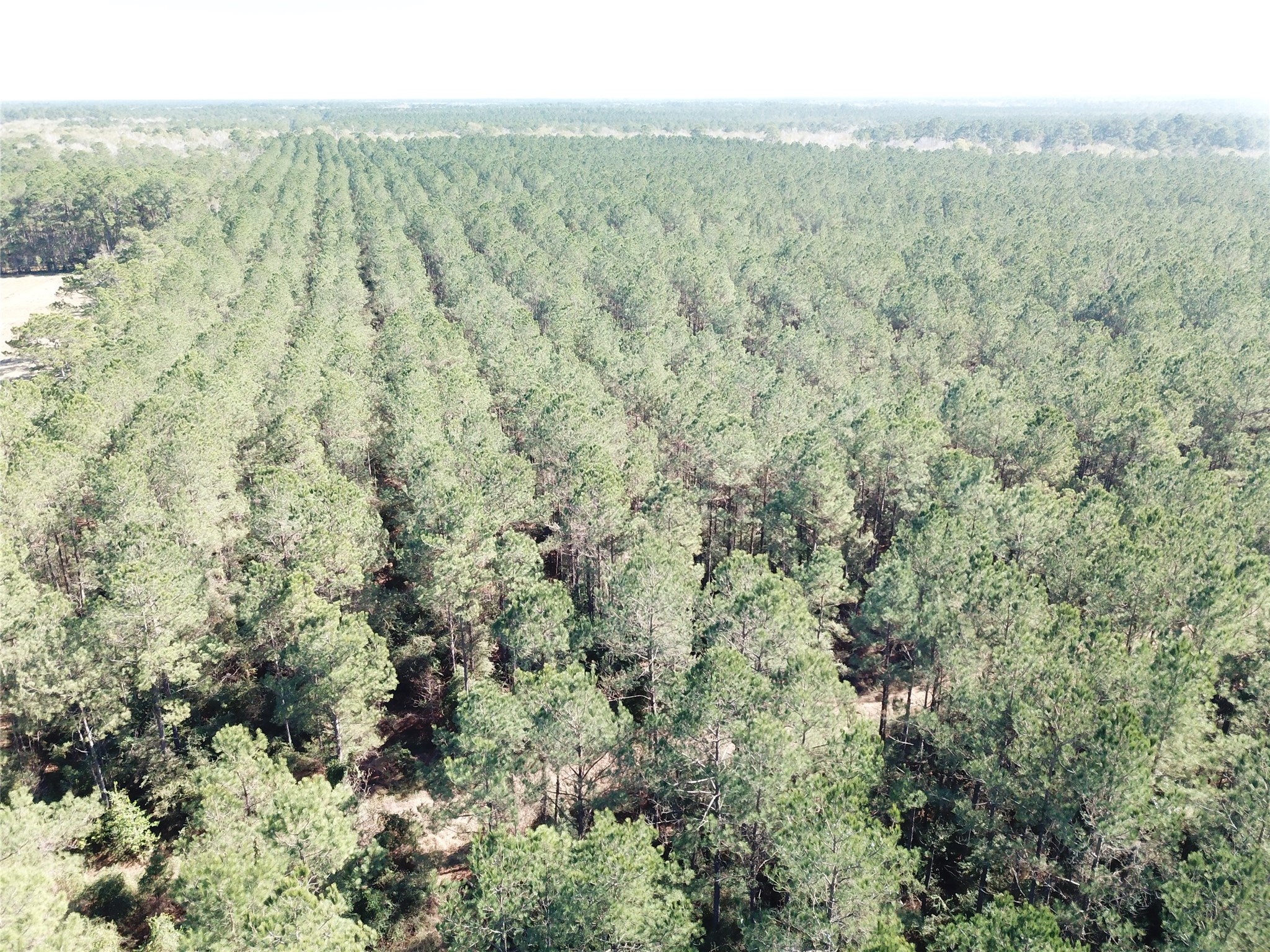 00 Corrigan Road Vidor TX 77662