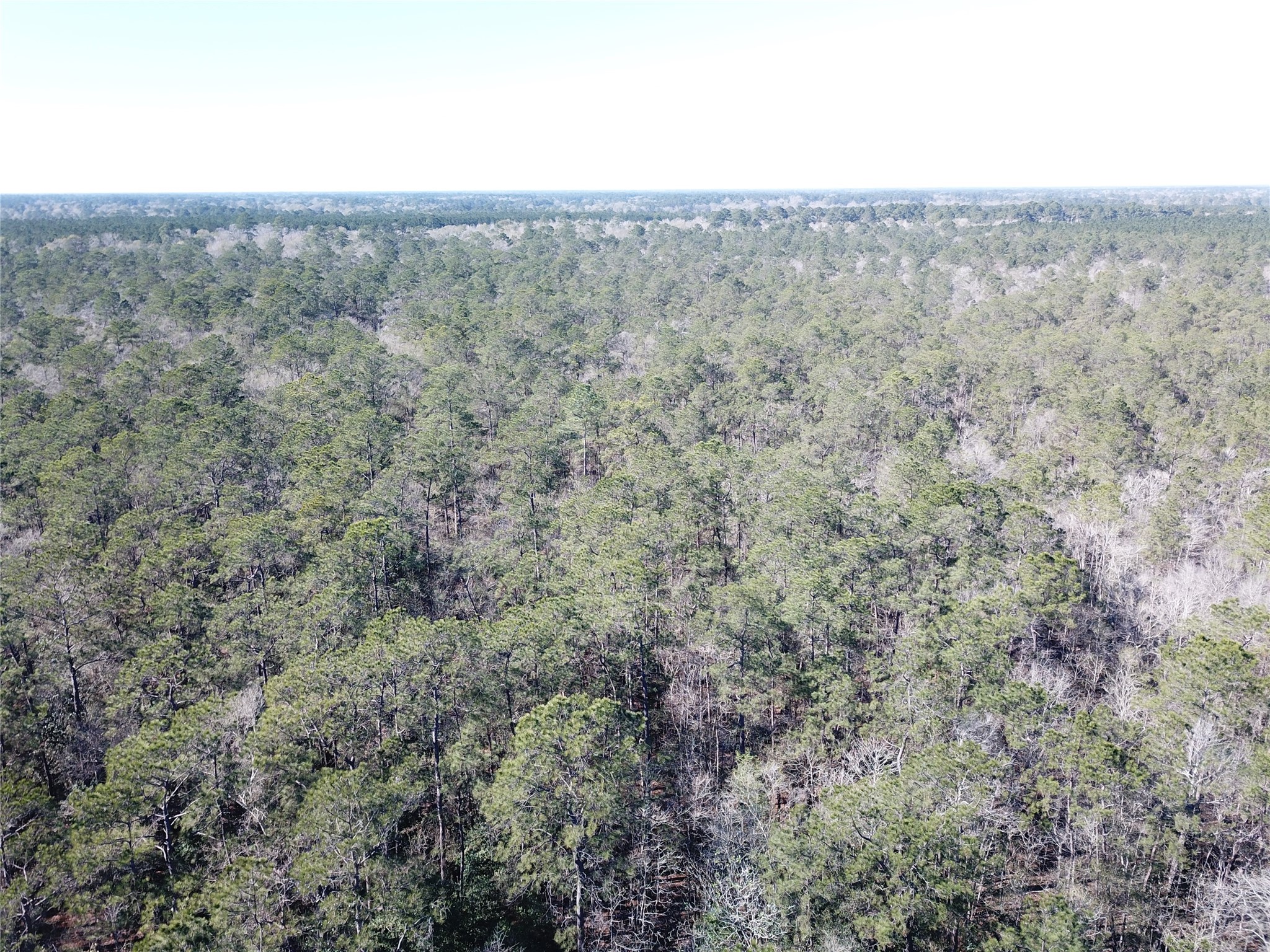 00 Corrigan Road Vidor TX 77662