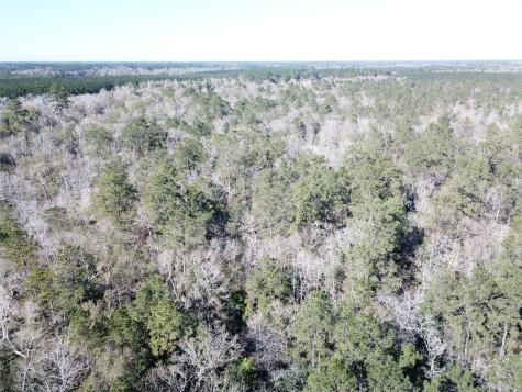 00 Corrigan Road Vidor TX 77662