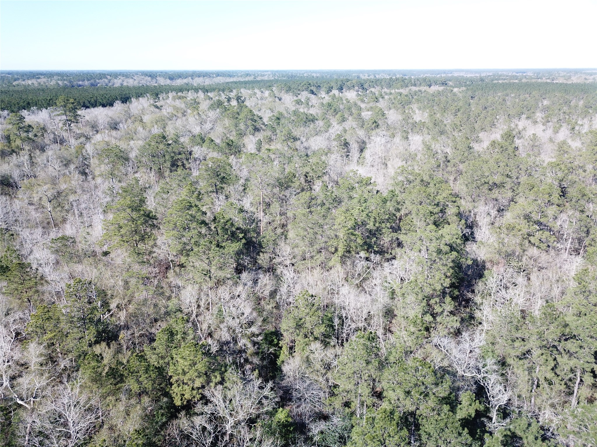 00 Corrigan Road Vidor TX 77662