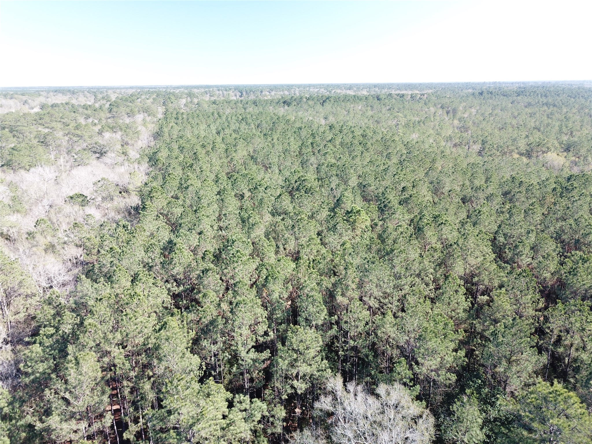 00 Corrigan Road Vidor TX 77662