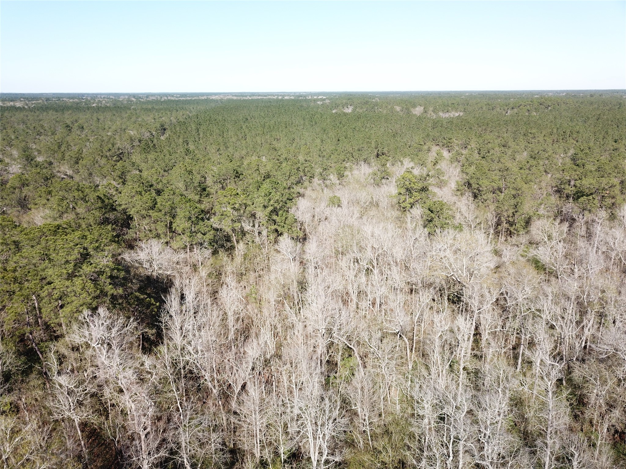 00 Corrigan Road Vidor TX 77662