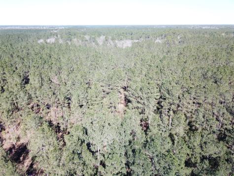 00 Corrigan Road Vidor TX 77662