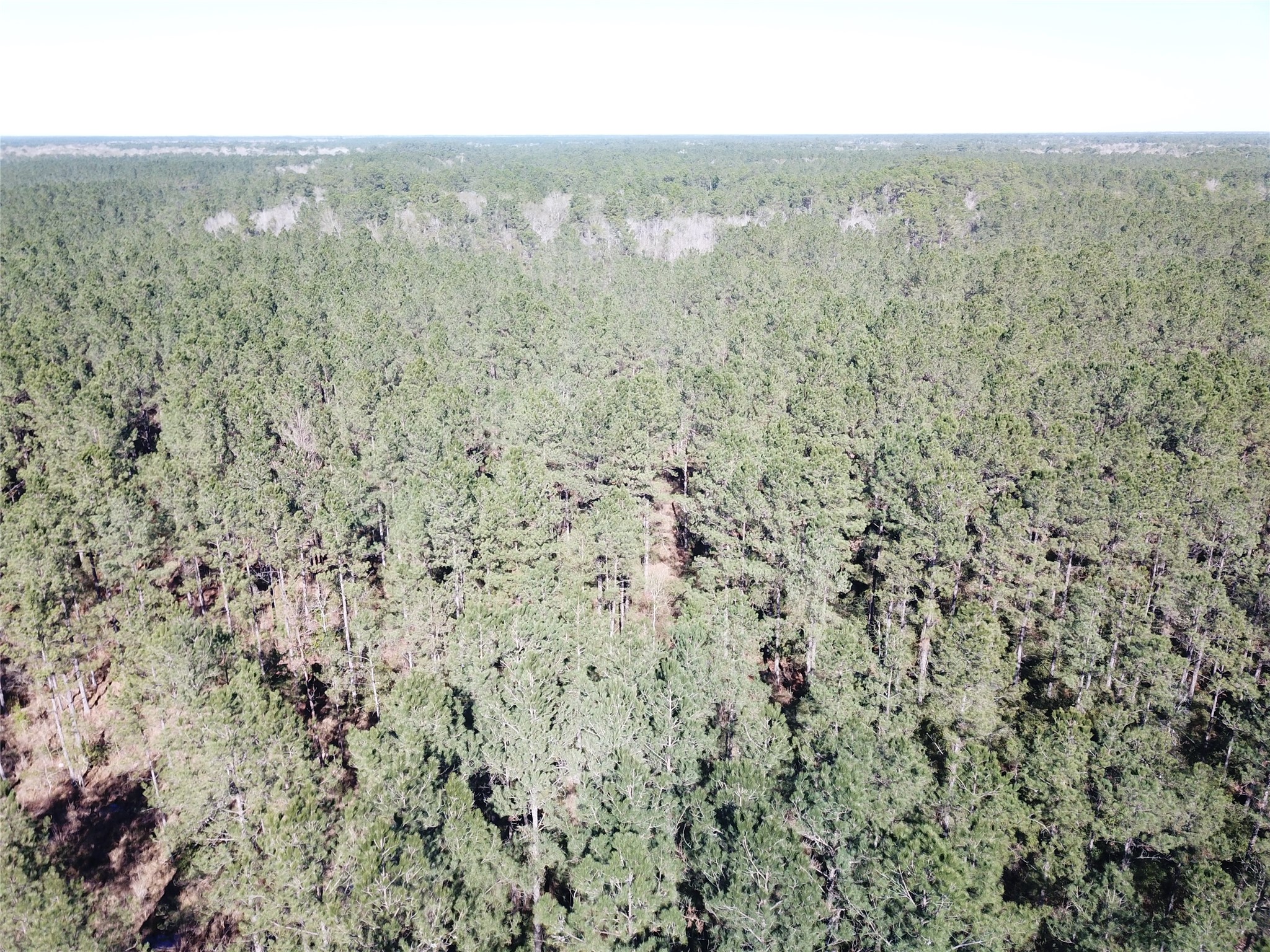 00 Corrigan Road Vidor TX 77662