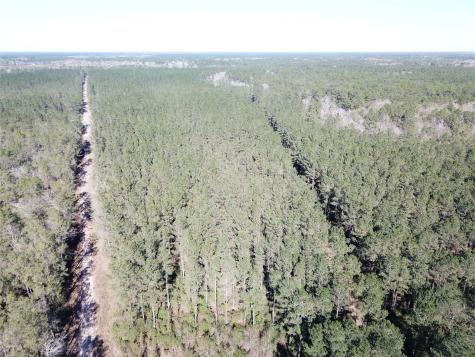 00 Corrigan Road Vidor TX 77662