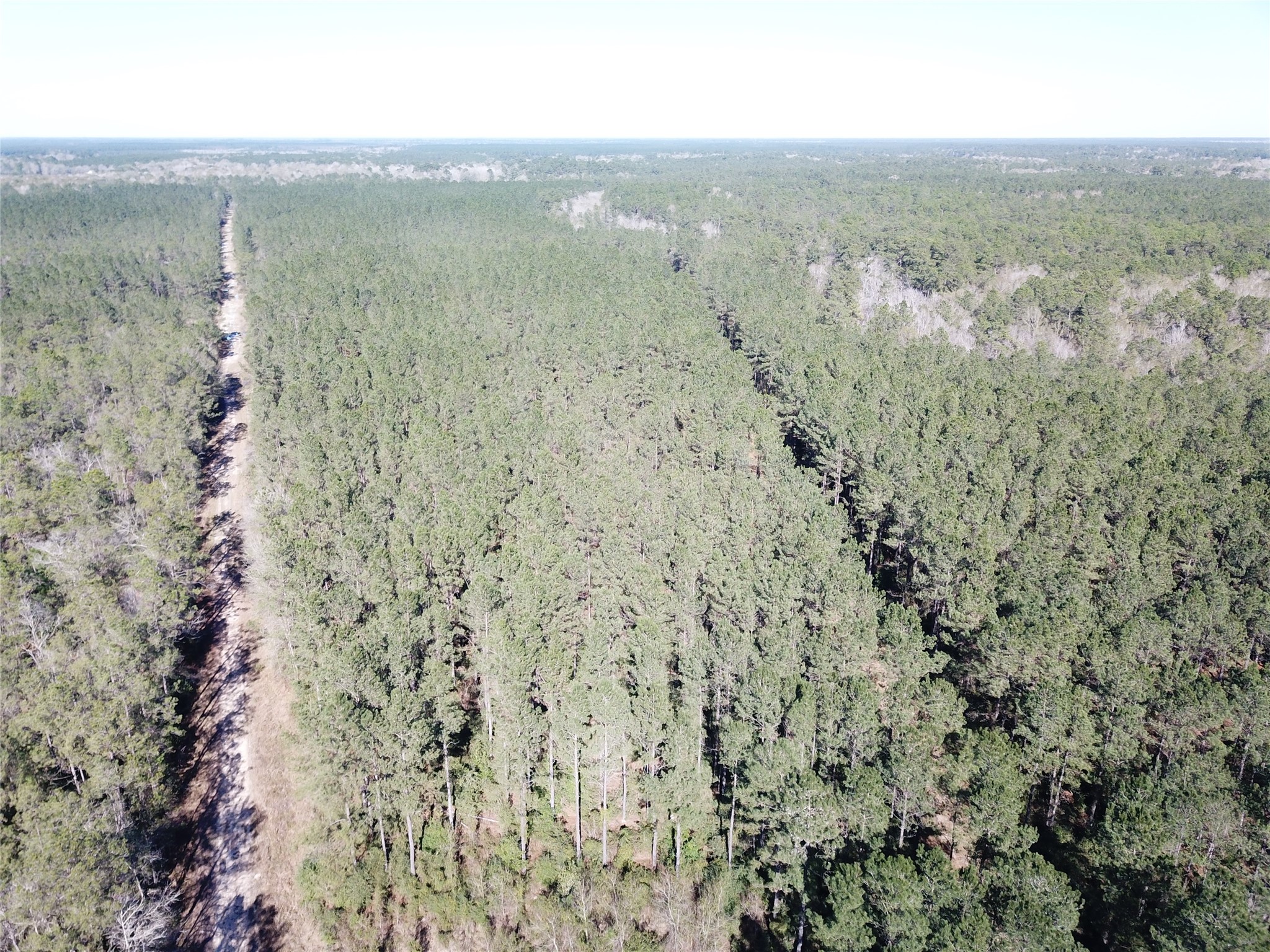 00 Corrigan Road Vidor TX 77662