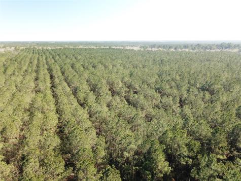 00 Corrigan Road Vidor TX 77662