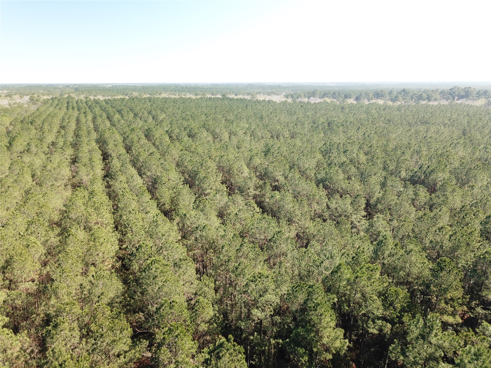 00 Corrigan Road Vidor TX 77662