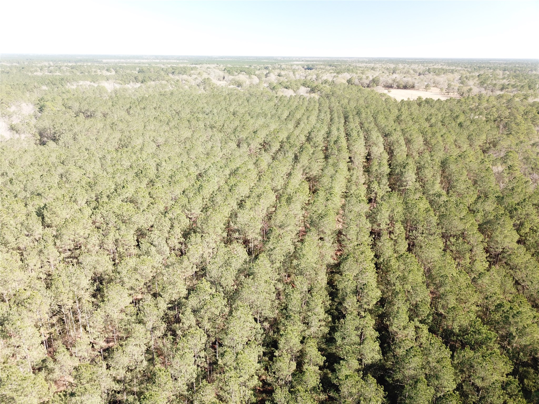 00 Corrigan Road Vidor TX 77662