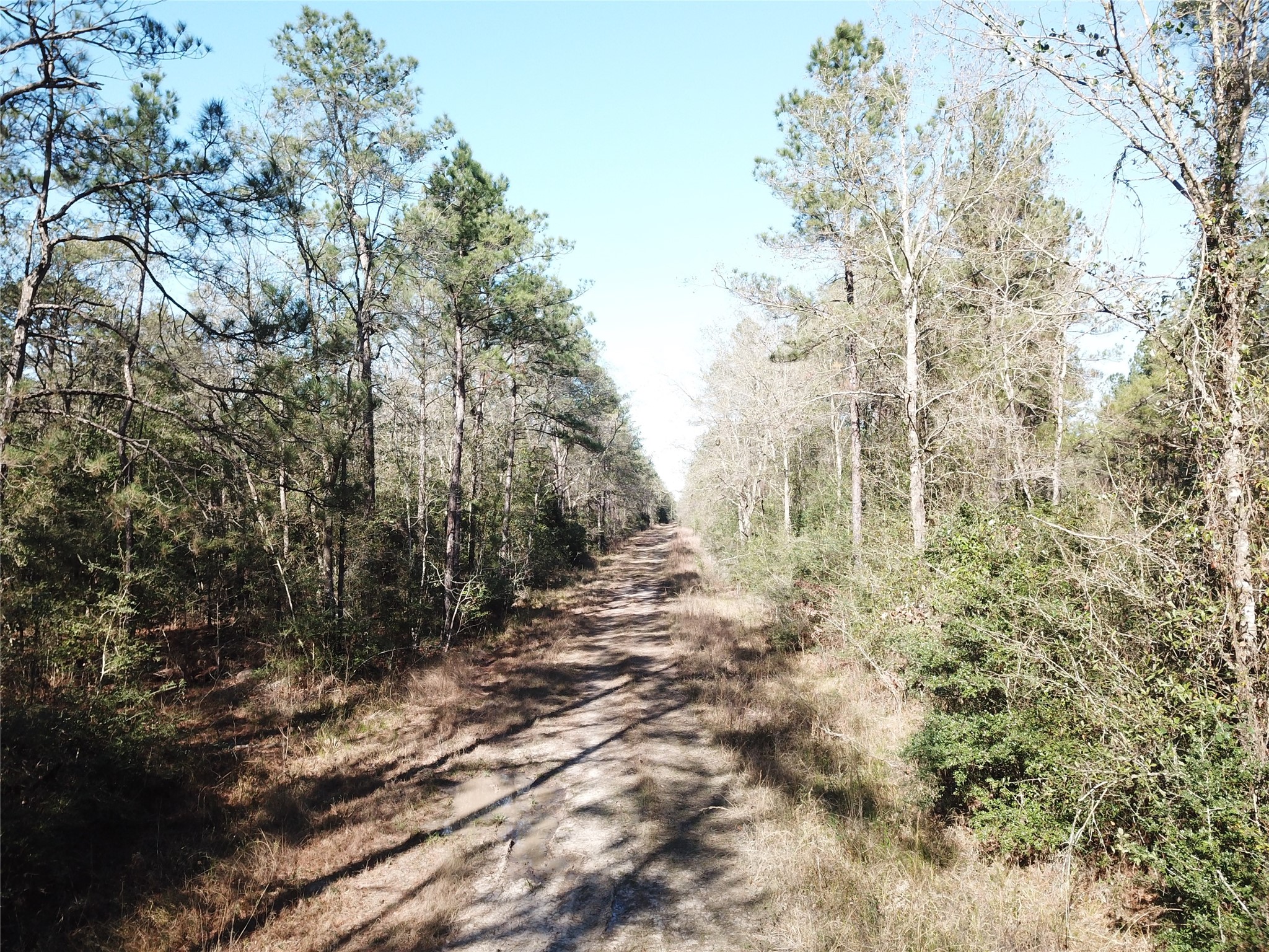 00 Corrigan Road Vidor TX 77662
