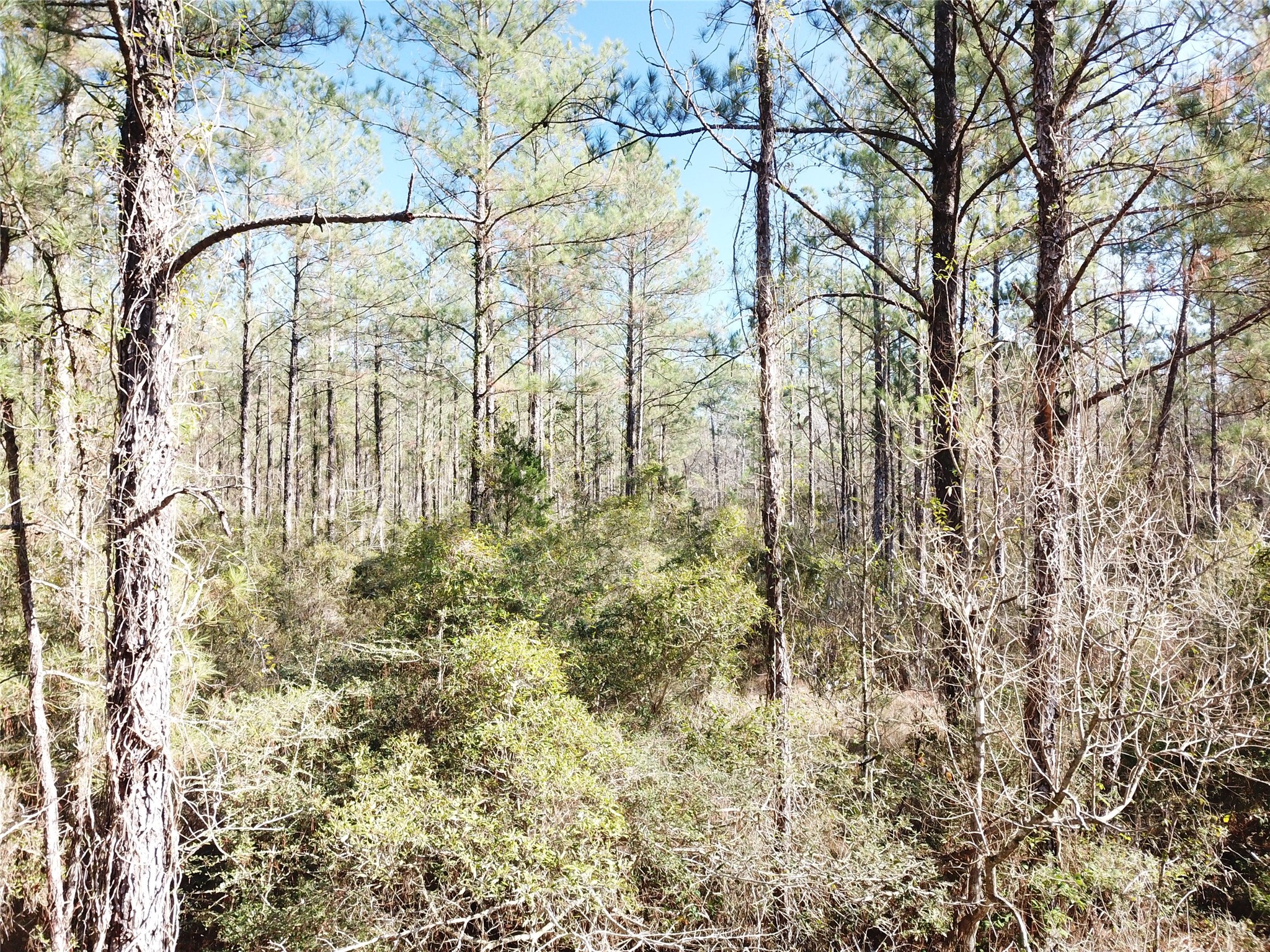 00 Corrigan Road Vidor TX 77662