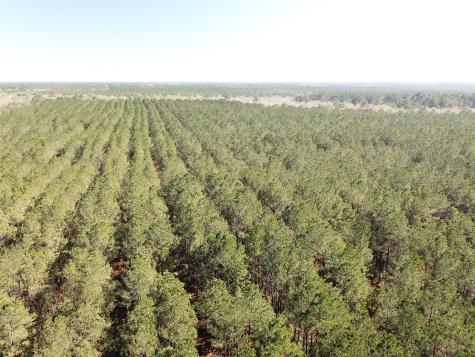 00 Corrigan Road Vidor TX 77662