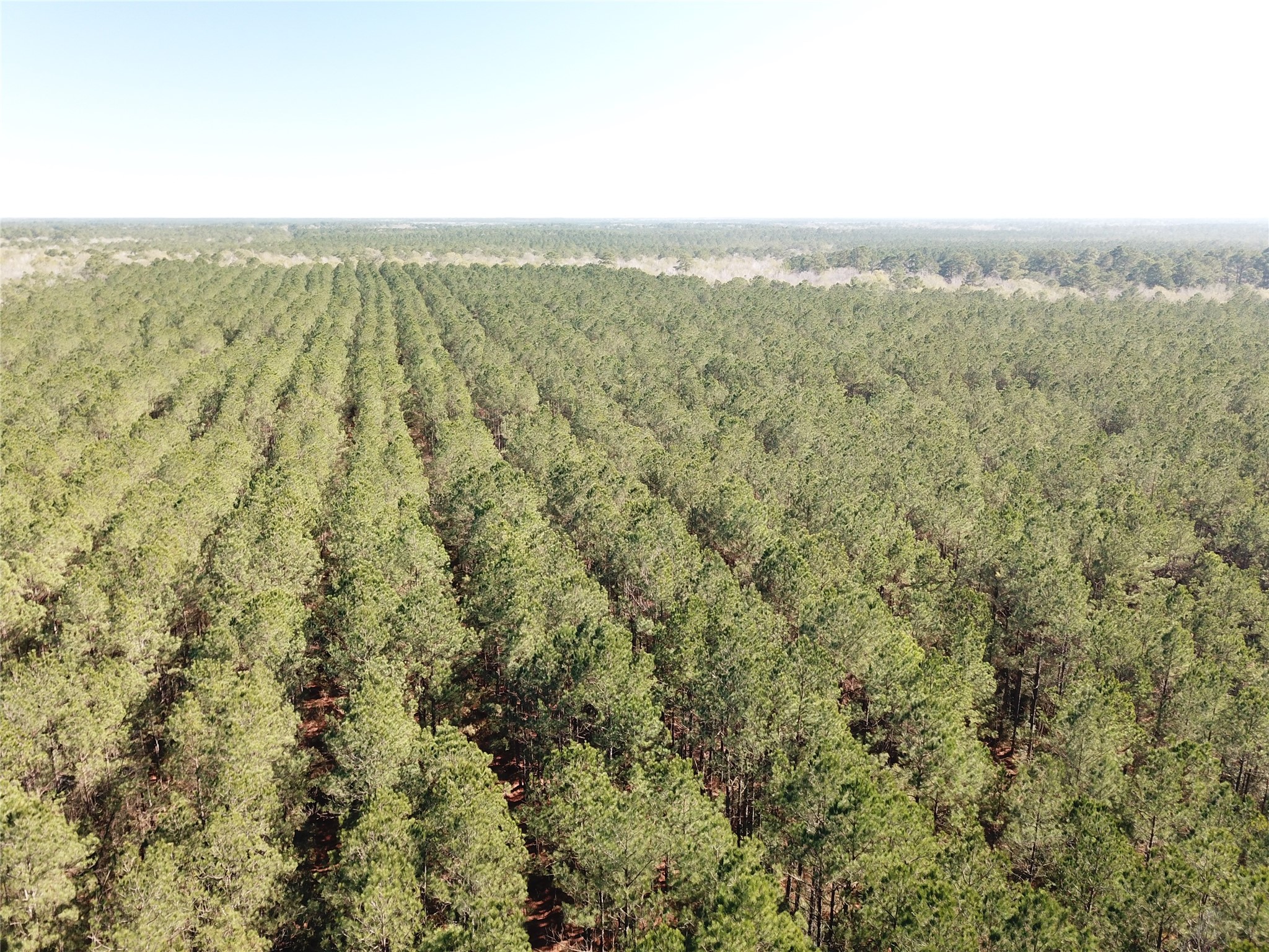 00 Corrigan Road Vidor TX 77662