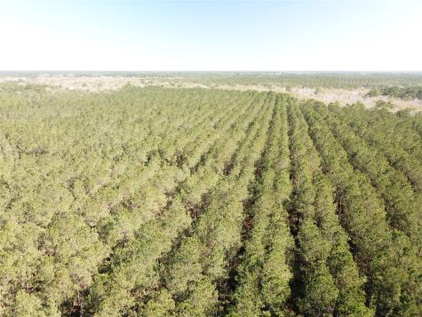 00 Corrigan Road Vidor TX 77662