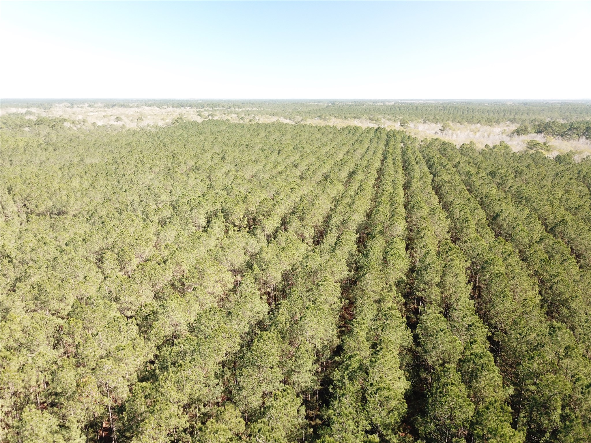 00 Corrigan Road Vidor TX 77662