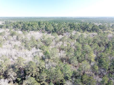 00 Corrigan Road Vidor TX 77662
