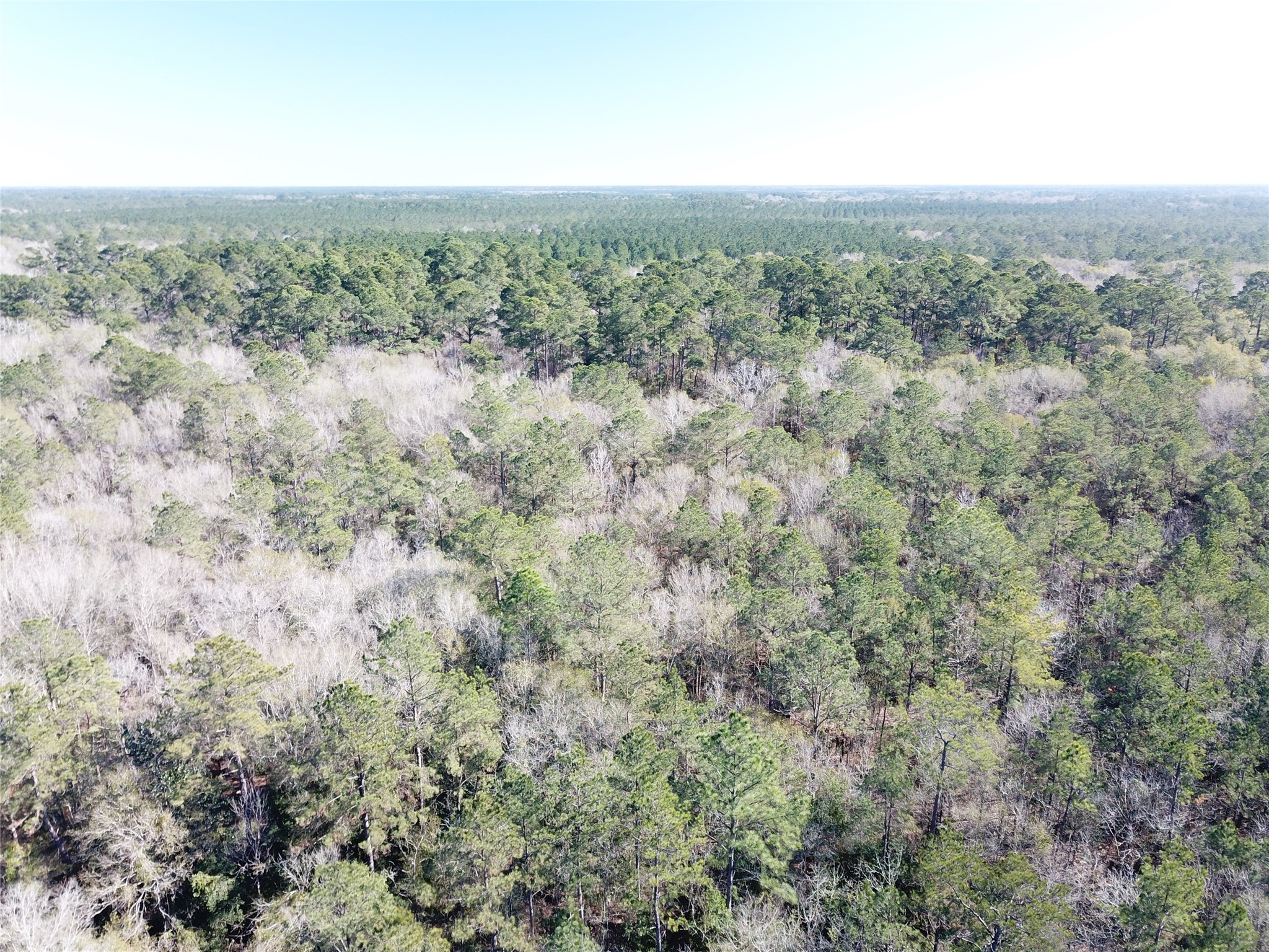 00 Corrigan Road Vidor TX 77662